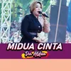 About Midua Cinta Song