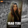 About Yaad Teri Song