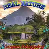 About REAL NATURE Song