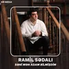 About Səni Mən Adam Bilmişdim Song