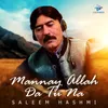 About Mannay Allah Da Tu Na Song