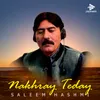 About Nakhray Teday Song