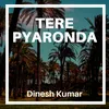 About Tere Pyaronda Song