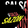 About Salsa con sazon Song
