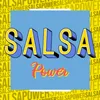 About Salsa Power Song