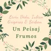 Un Peisaj Frumos