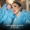 About Ziveo kraj Night Soul Session Song