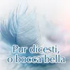 Pur dicesti, o bocca bella Instrumental