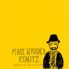 About Peace 'N Vodka Remitz Song