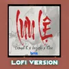 About Lưu Lệ Lofi Version Song