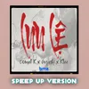 About Lưu Lệ Speed Up Version Song