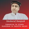 Zarhgiya Ta Zzama Dukhman Ye Pashto Haiko