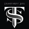 About Transparent Soul Song