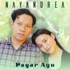 About Pagar Ayu Song