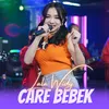 About Care Bebek Song