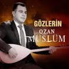 About Gözlerin Song