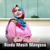 About Rindu Masih Manyeso Song