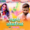 About Sahari Chhokariya Song