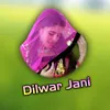 About Dilwar Jani Song