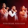 About Роза белая, роза алая Song