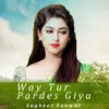 About Way Tur Pardes Giya Song