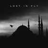 Lost in Fly Extended Version