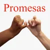 About Promesas Song