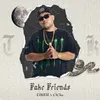 About fake friends Song