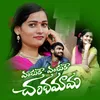 About ENDUKE ENDUKE CHANDAMAMA Song