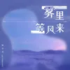 About 雾里等风来 Song