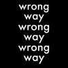 About Wrong Way Song