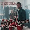 About Ozdoba Song