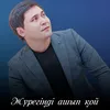 About Жүрегіңді ашып қой Song