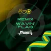Wavin' Flag Extended Mix