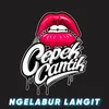 About Ngelabur Langit Thailand Style Banyuwangi Song