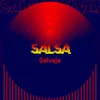 About Salsa Salvaje Song