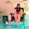 About Bless Leker Song
