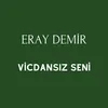 About Vicdansız Seni Song