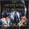 About El Muchacho y El Potro Song