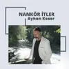 About Nankör İtler Song