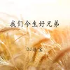 About 我们今生好兄弟 Song