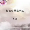 About 你的世界我来过 Song