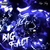 About BIG FACT Song