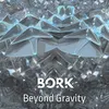 About Beyond Gravity Song