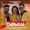 About ODHANI Song