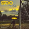 About Stadio Song