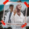 About Ya Habibana Ali Song