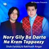 About Nory Gily Ba Darta Na Kram Tappaezy Song