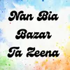 About Nan Bia Bazar Ta Zeena Song