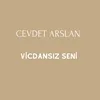 About Vicdansız Seni Song